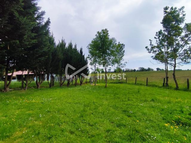 Vaureilles Vente Terrain 12