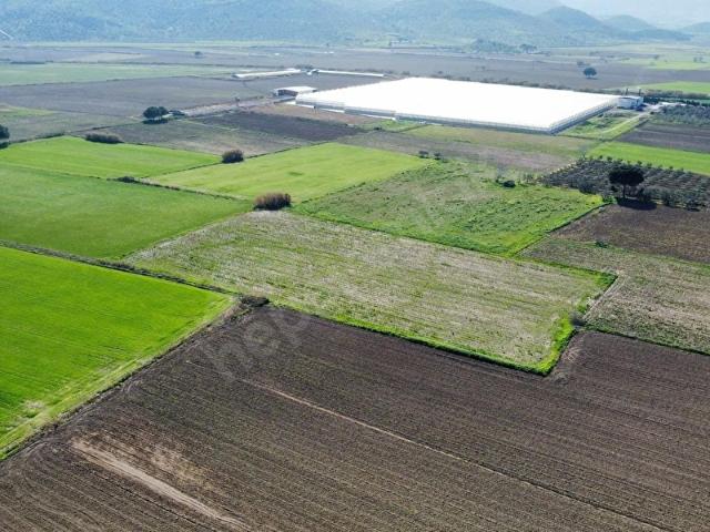VAV GAYRİMENKUL DİKİLİ İSMETPAŞADA SATILIK PARSELLE