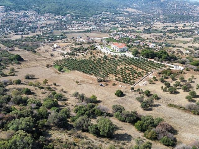 VAV GAYRİMENKUL KOZBEYLİ' DE DENİZ MANZARALI FIRSAT PARSELLER