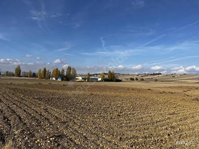 VAV GAYRİMENKUL'DEN TİMURHAN MAHALLESİNDE 6.375 METRE