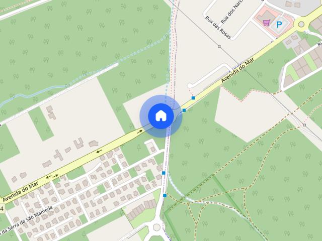 Vem e traz 5 amigos vive em familia e em zona tranquila