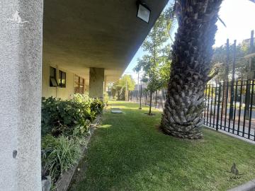 Venta