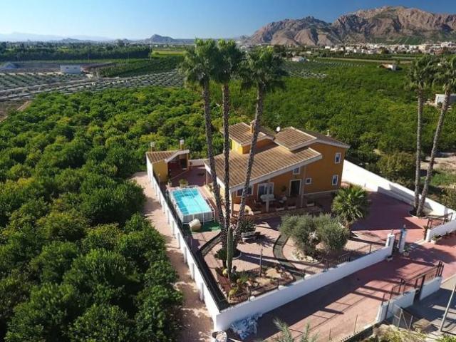 Venta 4 Dormitorio Casa Orihuela Alicante DLS93249771
