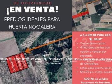 Venta 4 Hectareas en El Sauz en Chihuahua
