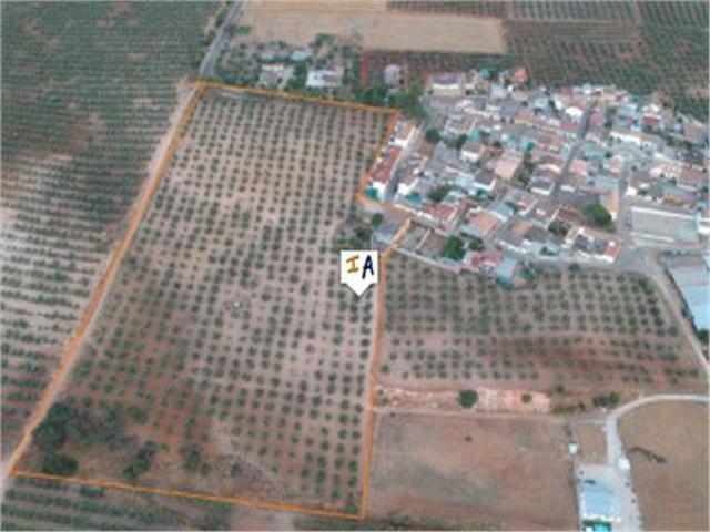 Venta 5 Dormitorio Casa La Carlota Cordoba DLS42236755