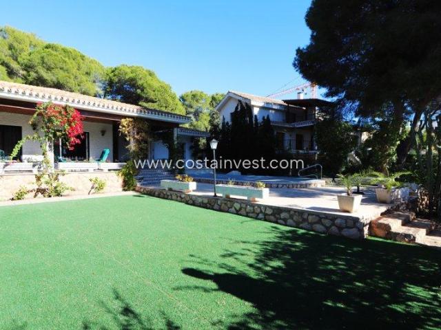 Venta 6 Dormitorio Villa Orihuela Costa Costa Blanca DS71854547