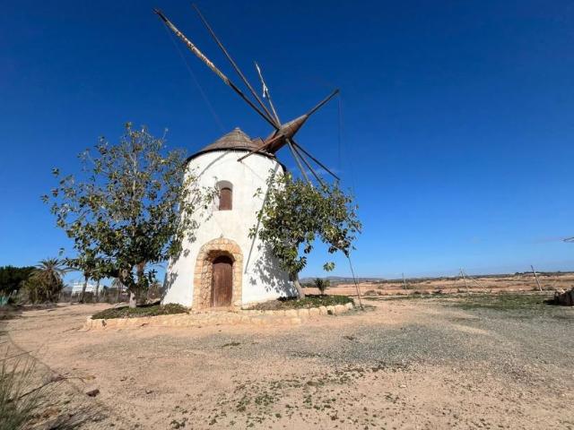 Venta 6 Dormitorio Villa Torre Pacheco Murcia DS94964479