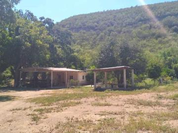 Venta 100 hectareas, Rayones N.L en la Peña y la Florida