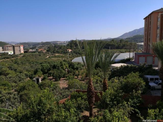 Venta 10 Dormitorio Casa Alicante Communidad Valencia DS81224058