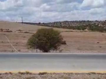 VENTA HECTAREAS EN PARRAL A PIE DE CARRETERA $100/MTO