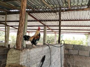 Venta 192 hectareas Tunkas Yucatán