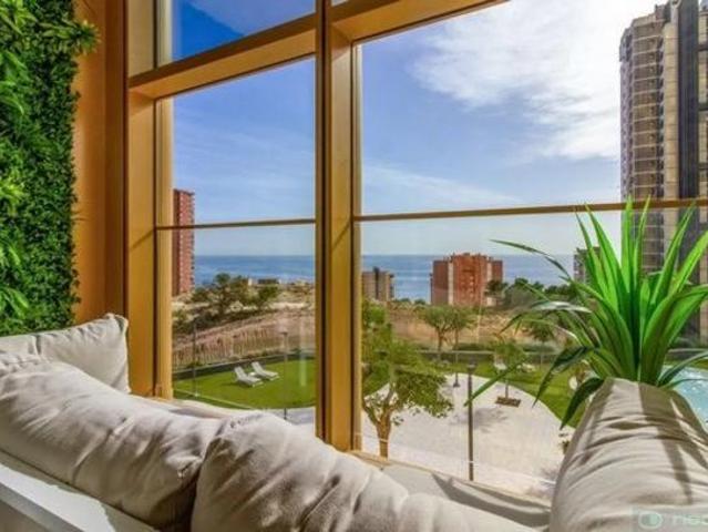 Venta 1 Dormitorio Apartamentos Alicante Communidad Valencia DS86010314