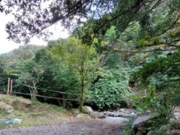 Venta 1 hectarea en Gualaca