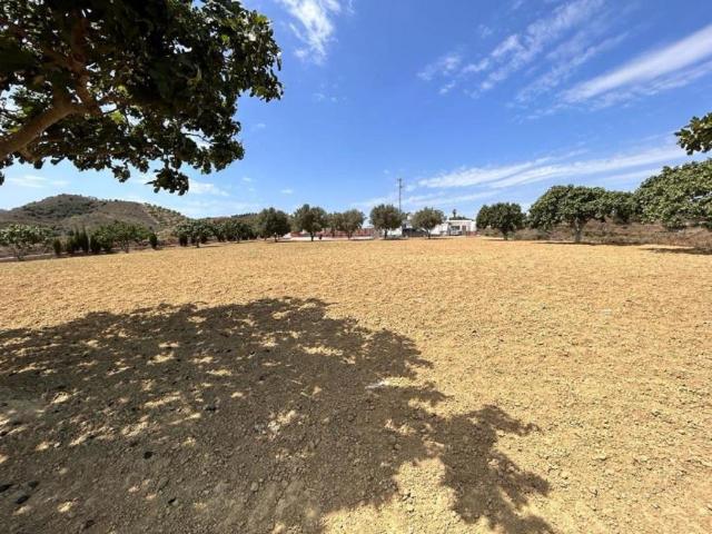 Venta 2 Dormitorio Apartamentos Málaga Andalusia DS95261667