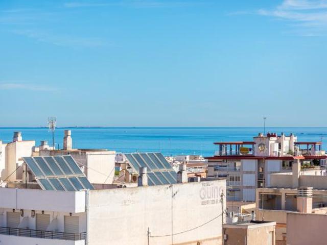 Venta 3 Dormitorio Apartamentos Guardamar Del Segura Alicante DS80312166