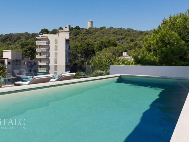 Venta 3 Dormitorio Apartamentos Palma Spanien DS90150134
