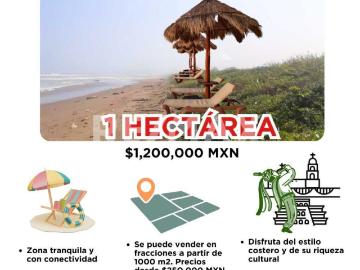 VENTA TERRENO A ORRILLA DE PLAYA EN PAPANTLA VERACRUZ