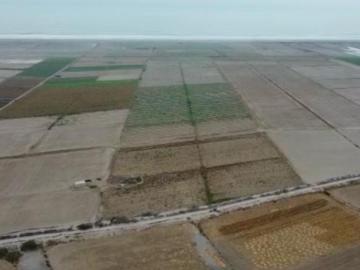 VENTA TERRENO AGRICOLA CAMANA PUCHUY DEISY MARROQUIN