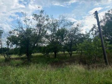 VENTA TERRENO AGRICOLA EJIDO LOS PALMITOS