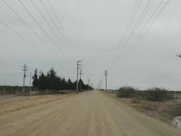 VENTA TERRENO AGRICOLA EN OLMOS 180 Has colinda con PEOT