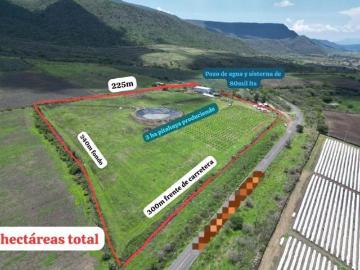 Venta terreno agricola, Jocotepec