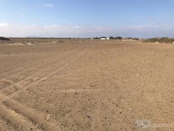 Venta Terreno Agricola 50 Hectáreas