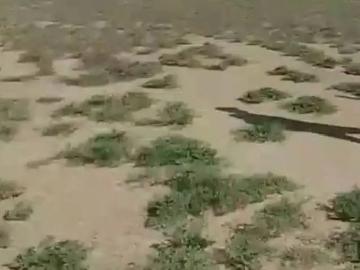 Venta Terreno Agrícola 50 Hectáreas