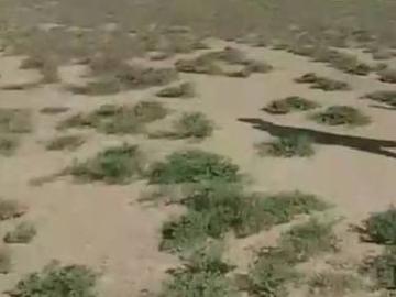 Venta Terreno Agrícola 50 Hectáreas