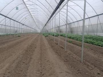 VENTA TERRENO ALMOLOYA, ACATLAN HGO