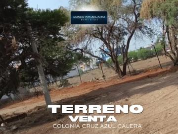 VENTA TERRENO CALERA