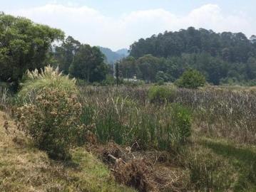 Venta terreno cerca Valle de Bravo, Amanalco, 85 mil metros
