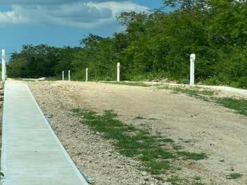 Venta Terreno en Mérida Yucatán Tixkuncheil
