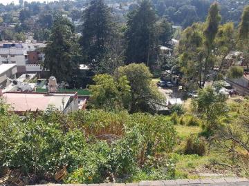 Venta Terreno en Barranca Seca, Ideal Plaza Comercial o Habitacional