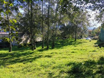 VENTA Terreno en el bosque, muy cerca de La Joya