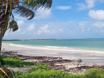 VENTA TERRENO en la Reserva de la Biosfera de Sian ka´an Tulum