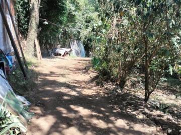 VENTA TERRENO EN HUITZILAC MONTECRISTO, MORELOS