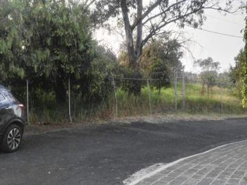 Venta Terreno en Lomas Altas