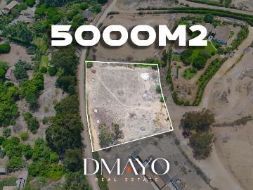 Venta Terreno en Pacachacamac 5.000 m2 Independizado, con agua y electricidad Pachacamac