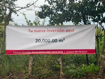 Venta terreno en Salamanca, cerca de Divisa y el cruce de Ocú