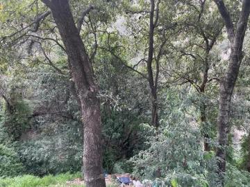 VENTA TERRENO en SAN FERNANDO, INMEDIATO A GRANJAS NAVIDAD