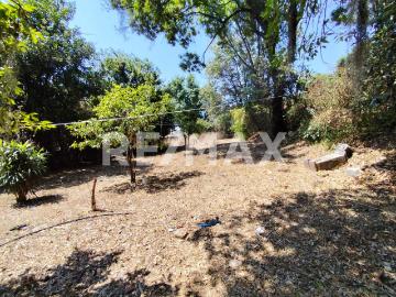 Venta Terreno en Tenancingo, Estado de México