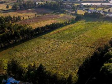 VENTA TERRENO EN TENANCINGO ESTADO DE MÉXICO USO DE SUELO MIXTO