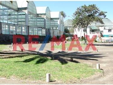 Venta Terreno Estrategico En La Alameda De Tingo