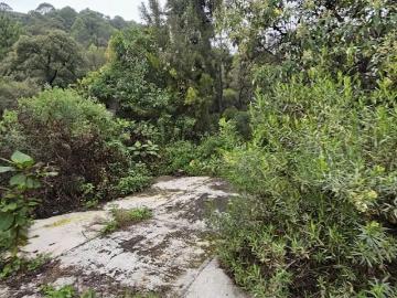 VENTA TERRENO IZTAPALAPA, INMEDIATO A PORTALES y NARVARTE