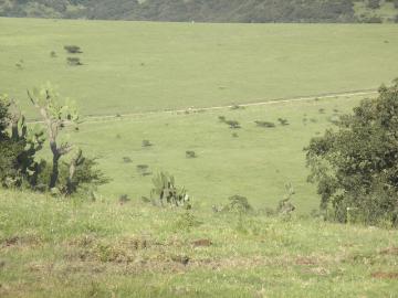 Venta Terreno, Jilotepec de Molina Enríquez
