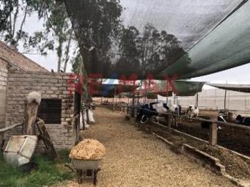 Venta: Terreno Lurin: Urbanización Huertos De Villena: $ 880,000.00