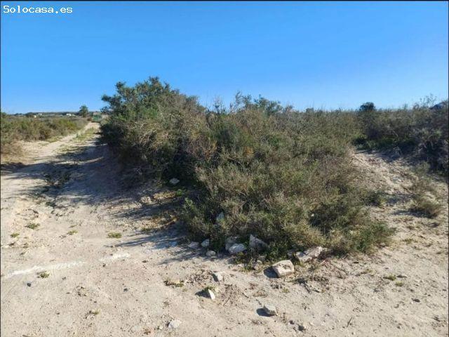Venta terreno, La Marina El Molar