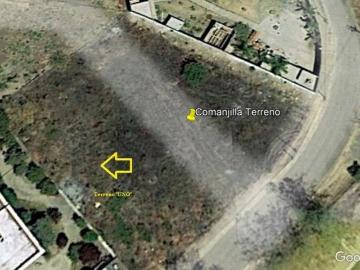 Venta, Terreno, Lomas de Comanjilla, Guanajuato
