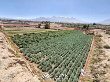 VENTA TERRENO, PAMPAS DEL CURAL, CERRO COLORADO