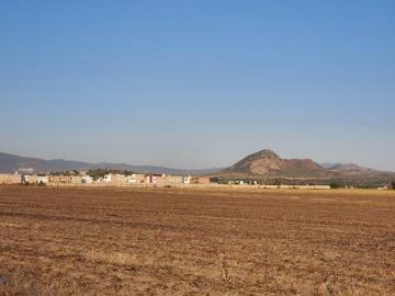 VENTA TERRENO PLANO 3 HAS.A 10 MIN DE PACHUCA JUNTO A DESARROLLO HABITACIONAL CARRETERA A CD SAHAGÚN